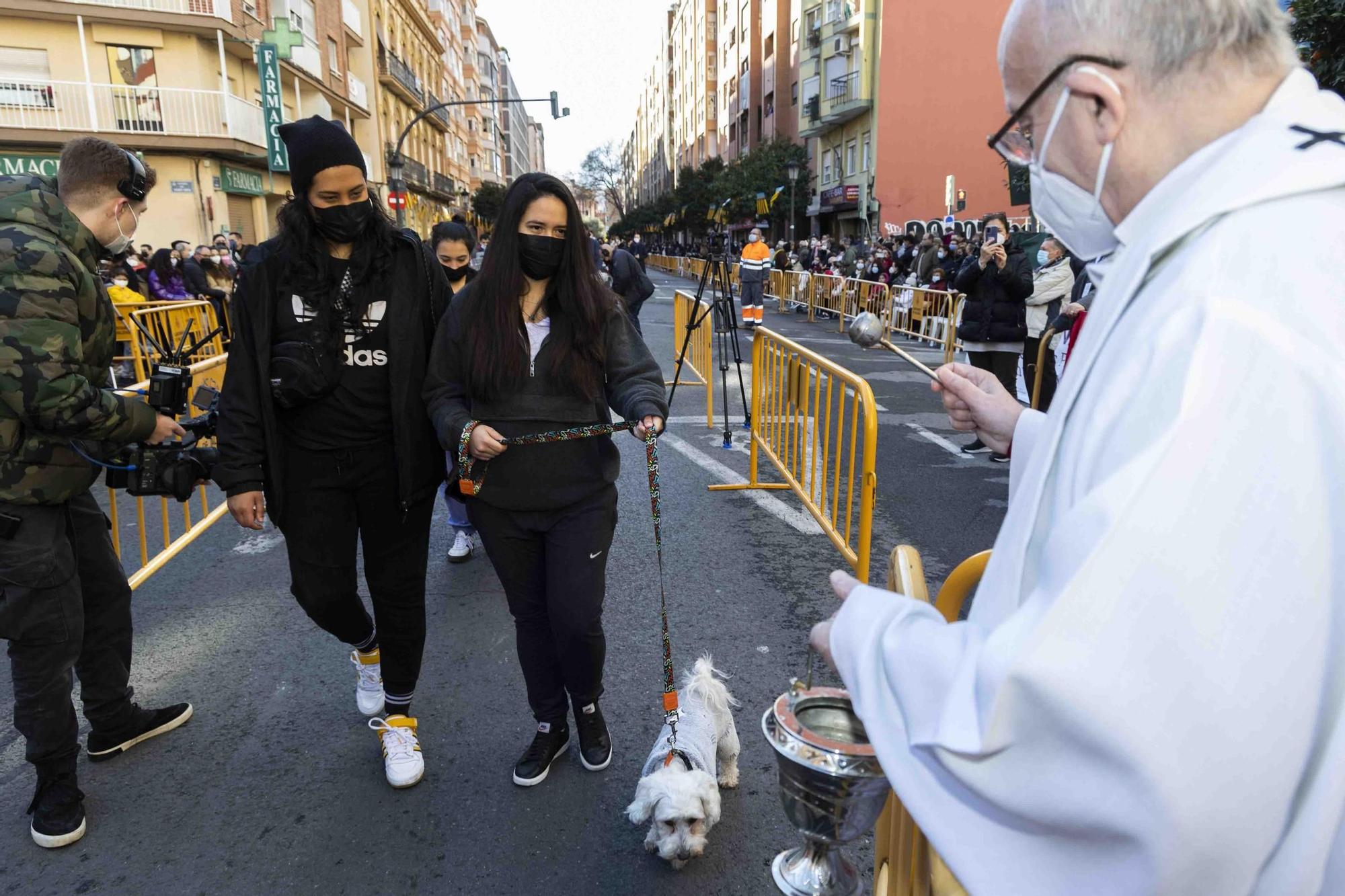 Búscate en la bendición de animales de Sant Antoni