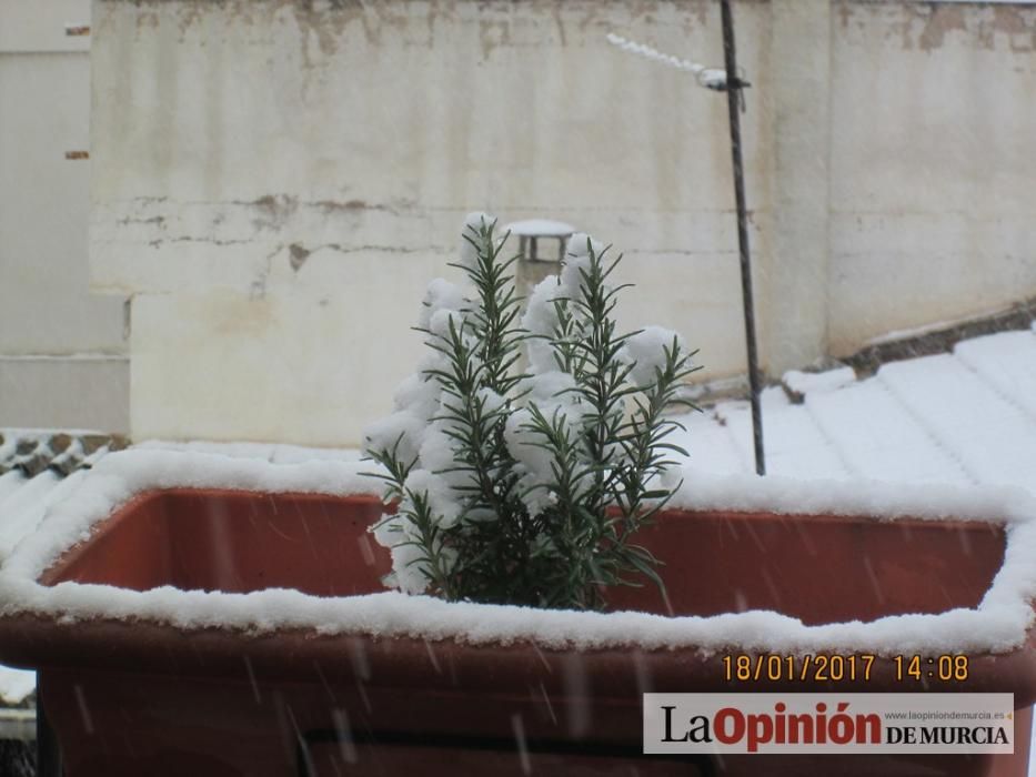 La nieve tiñe de blanco Murcia