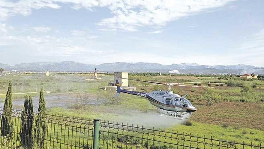 Un helicóptero fumiga el Pla de Sant Jordi para evitar los mosquitos.