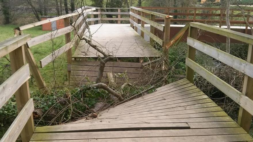 La senda peatonal de La Magdalena, cerrada por la caída de un árbol