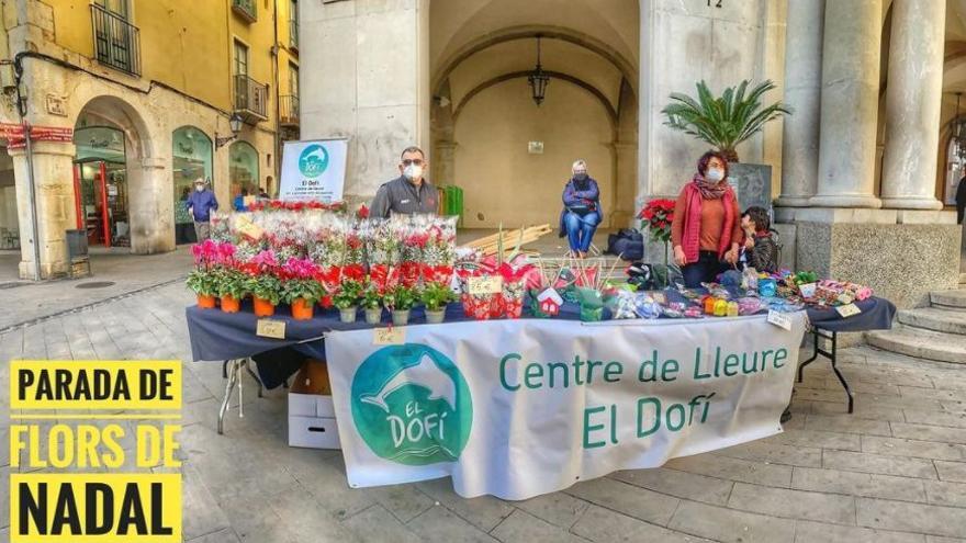 La parada de Nadal d&#039;El Dofí