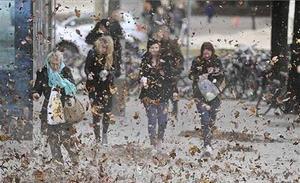 Les fulles s’arremolinen per l’aire en una vorera del centre d’Estocolm (Suècia) com a conseqüència de les ratxes de vent que van fer aturar el trànsit ferroviari al nord de la ciutat i van deixar milers de cases sense electricitat.