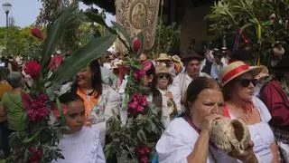 Bucios, tambores y ramas: así será la Fiesta de Las Marías 2026