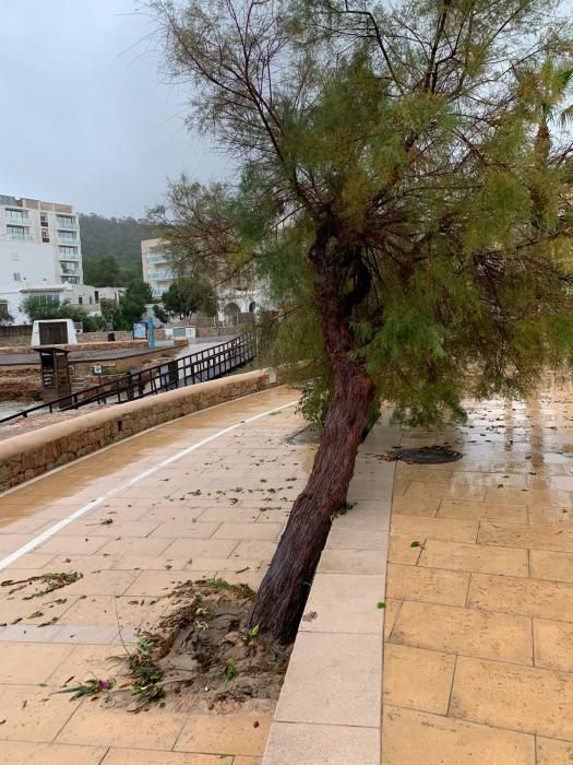 El temporal descarga sobre Ibiza y Formentera