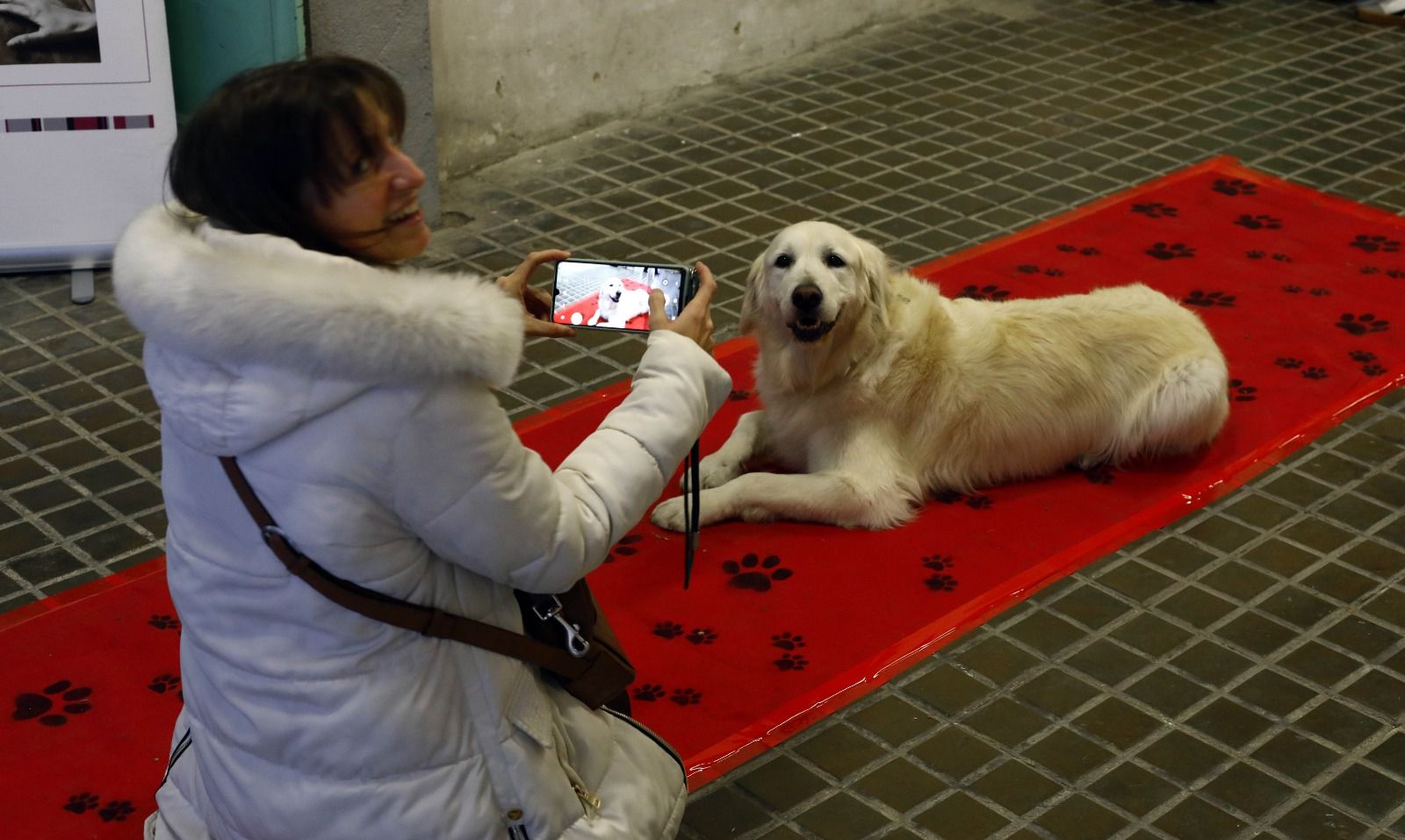 El mercado de mascotas de Zaragoza, en imágenes