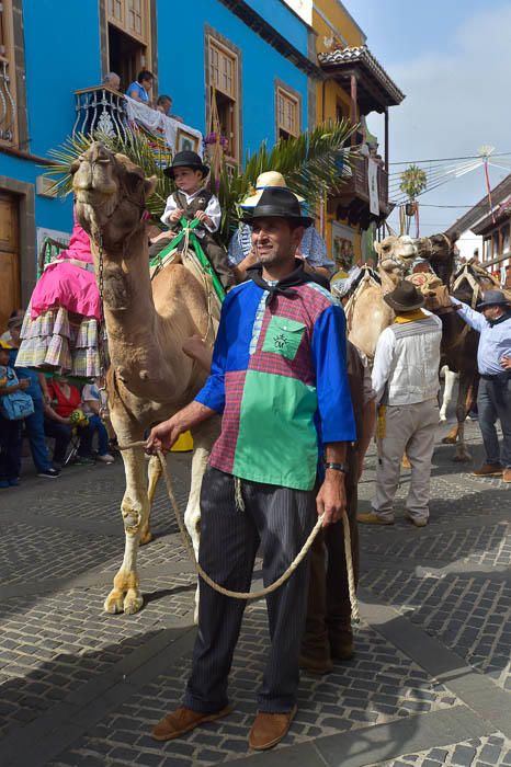 Carretas y grupos en la romería del Pino