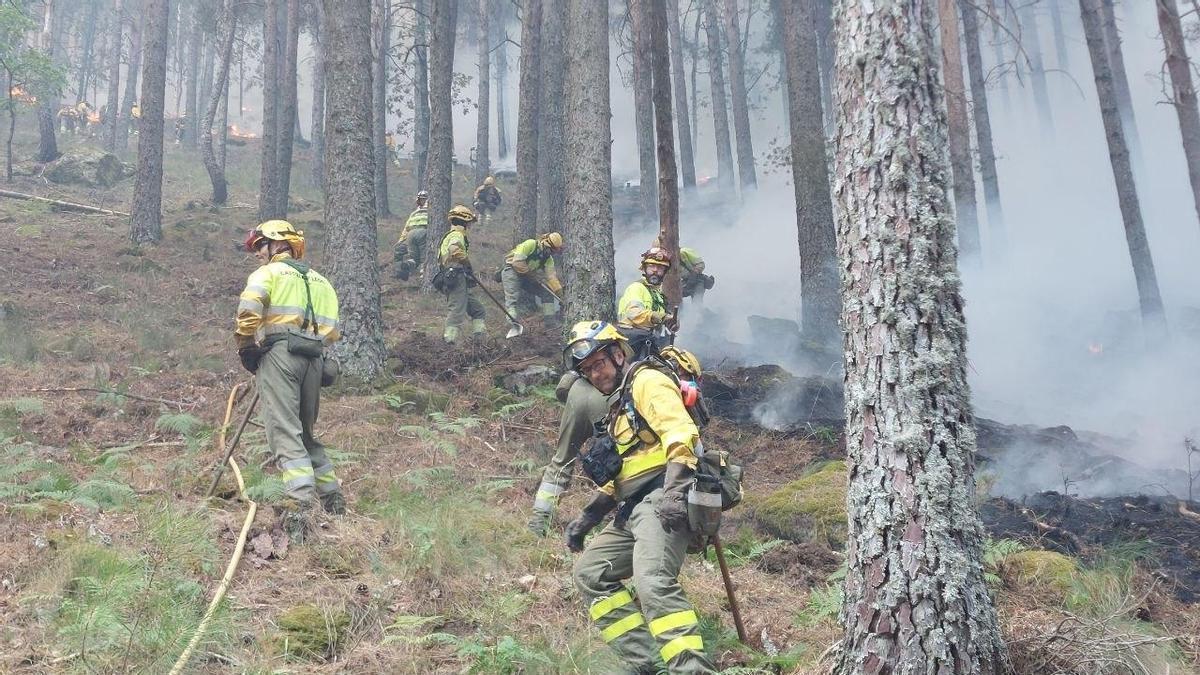 Efectivos del Plan de Infomur trabajando en la extinción de los incendios de Ávila, Toledo y Madrid