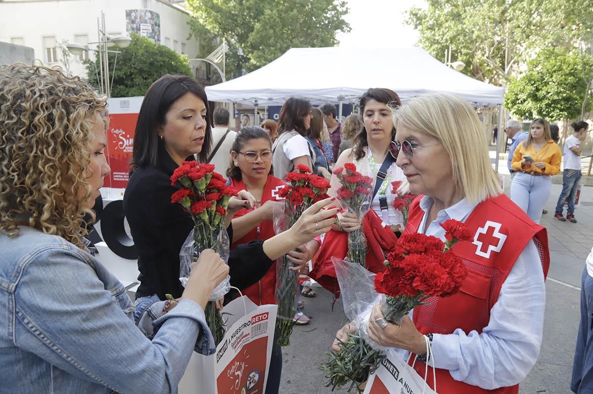 La campaña de Cruz Roja claveles por un trabajo igualitario, en imágenes