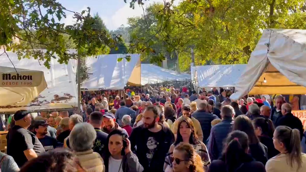 Volve a feira cabalar do San Martiño de Francos