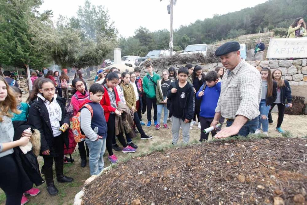 Encendido de la ''sitja'' y actividades lúdicas y educativas