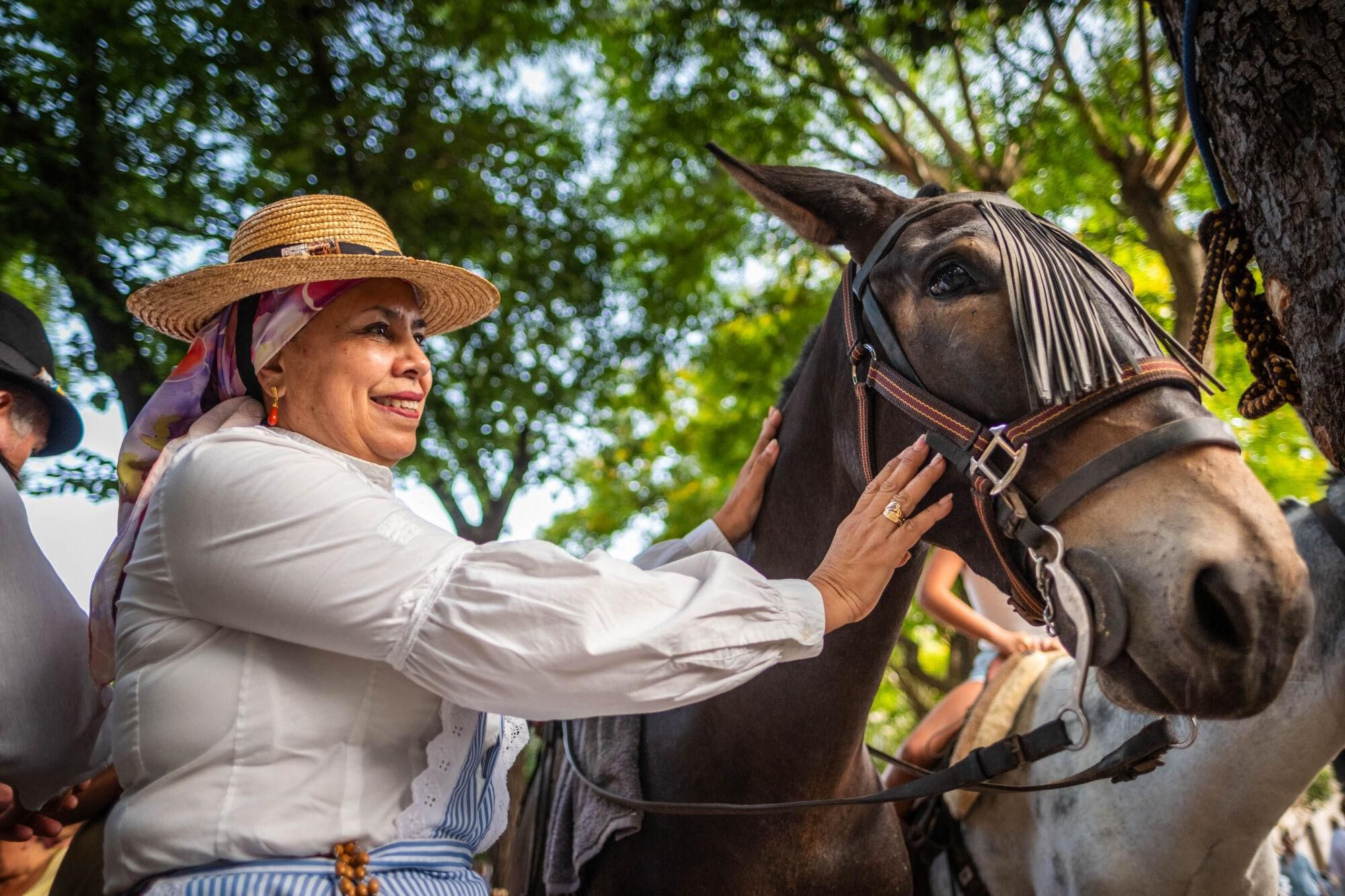 Día de los burros en La Laguna