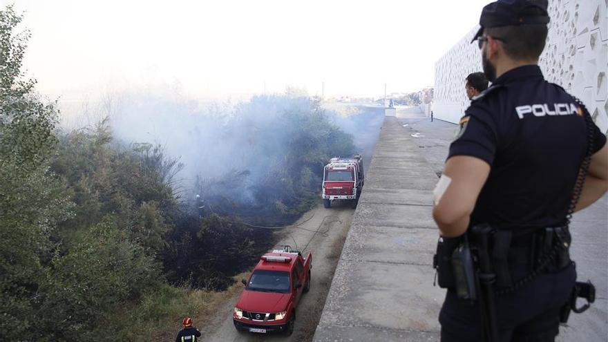 Nuevo incendio de vegetación en la ribera, junto al C3A