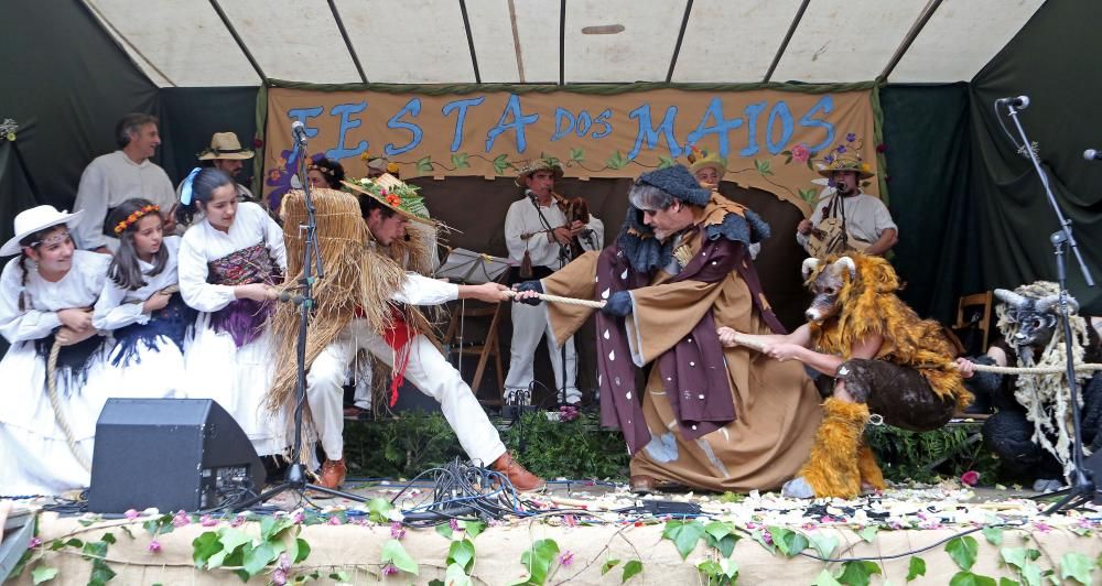 La Festa dos Maios llena de color el Casco Vello y "espanta" el invierno con flores y música