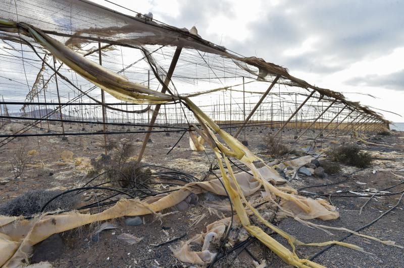 Invernaderos, abandonados en el sureste