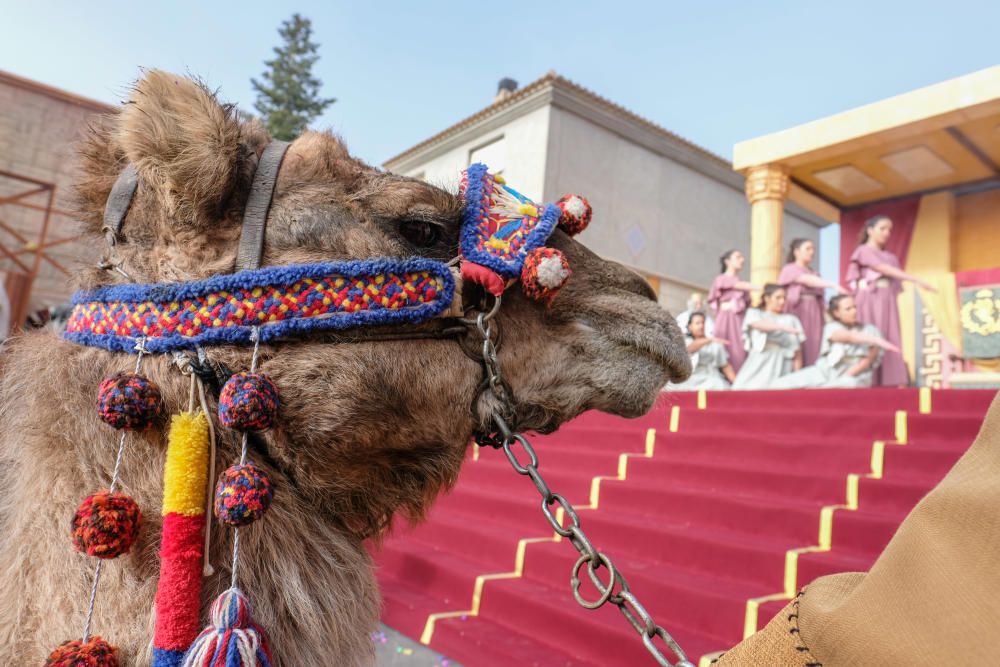 Auto sacramental de los Reyes Magos de Cañada