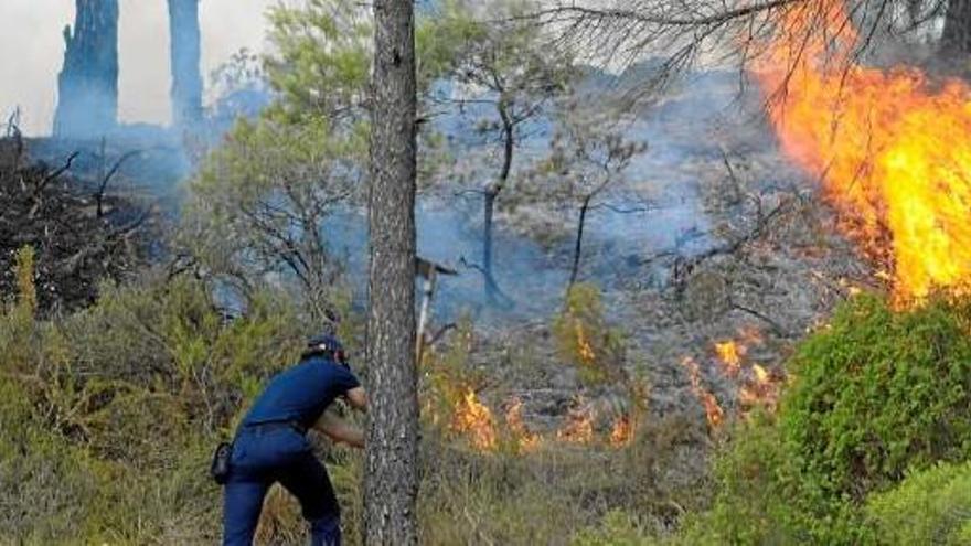 Petits focs van tornar a afectar parts de bosc que ja havien estat cremades