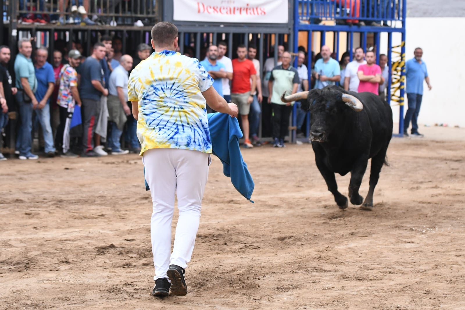 Exhibición de cuatro toros de Partida Resina en Onda