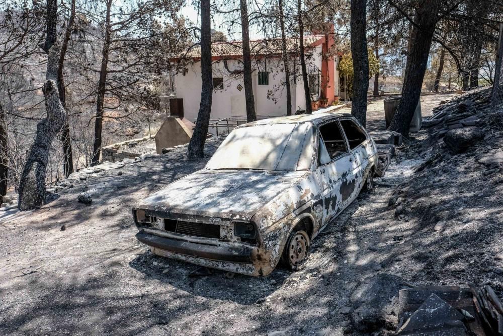 Así ha quedado la zona tras el incendio.