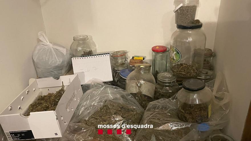 Detenen nou persones i desmantellen un cultiu de marihuana en una masia de La Bisbal d’Empordà