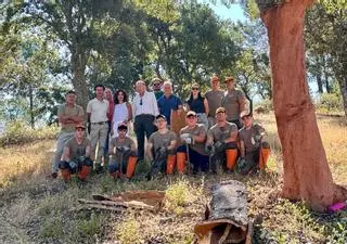La Junta de Andalucía impulsa la 7ª Escuela de Descorche en los montes públicos de la provincia de Córdoba