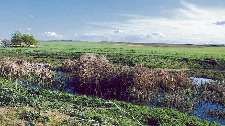 Laguna del Sardonal en Cazurra.