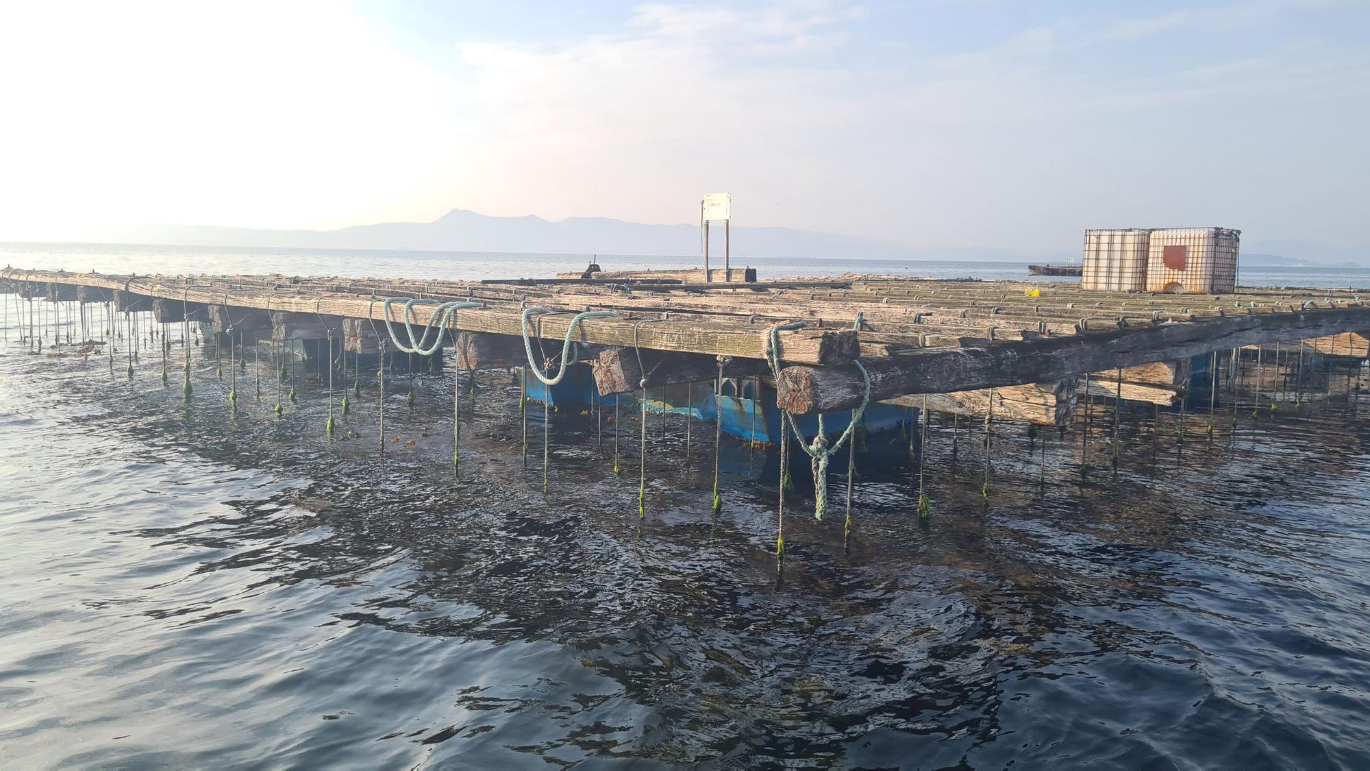 De visita en las Islas Atlánticas de Galicia a bordo del aula flotante "Chasula".