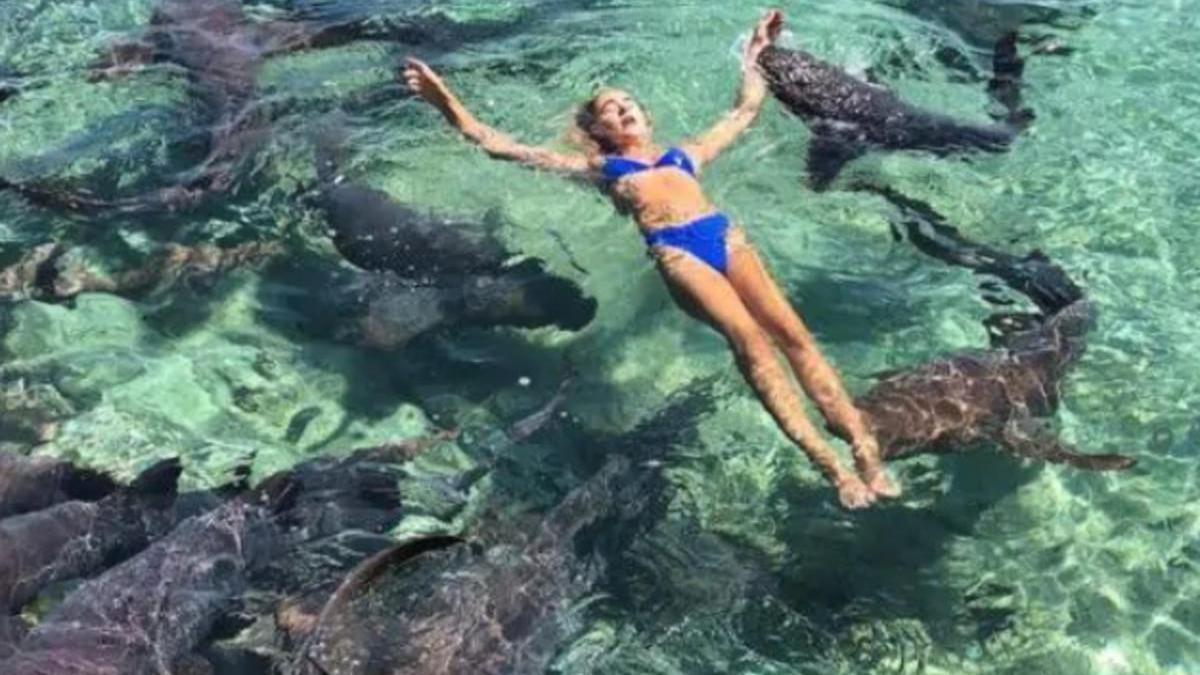 Una modelo es atacada por un tiburón mientras se hacía una foto