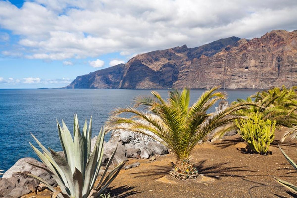 Acantilados de Los Gigantes