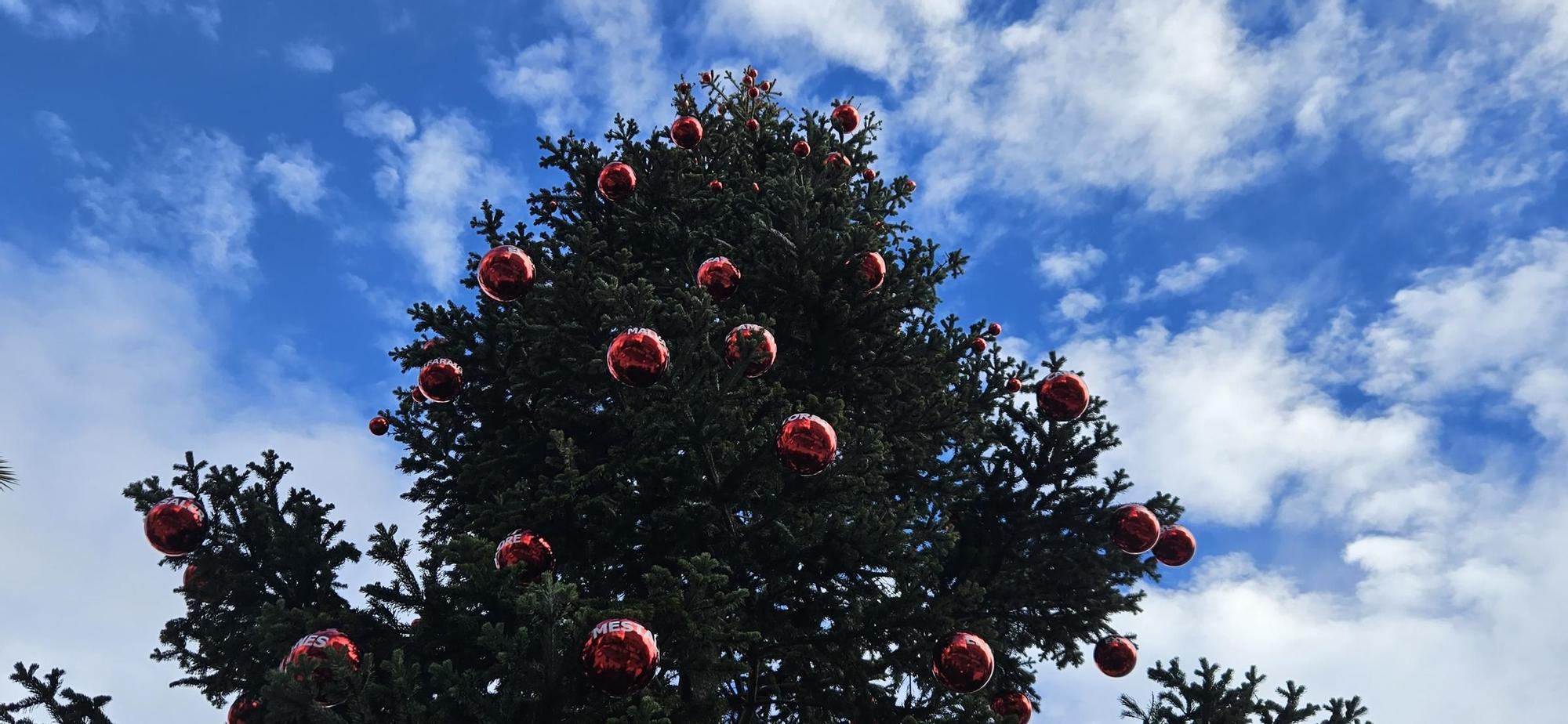 Así es el nuevo "Abeto de los Barrios" de Navidad en el centro de València