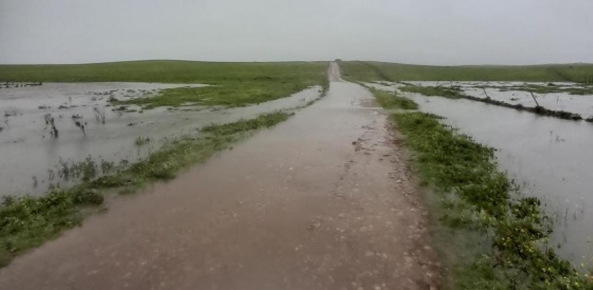 El camino a la finca El Vaqueril.