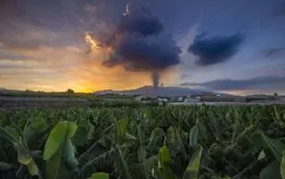 Belleza entre la destrucción del volcán de La Palma