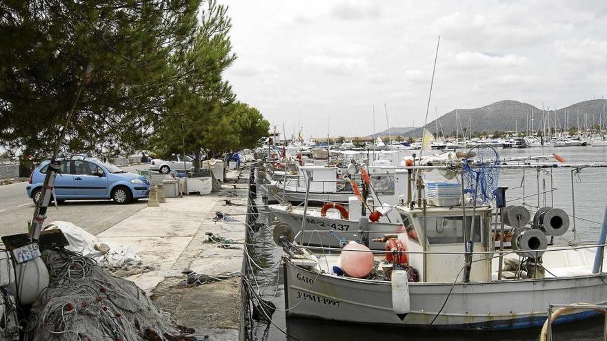 Imagen del Moll Vell del Puerto de Alcúdia, donde se aprecian algunas barcas de arte menor amarradas en el malecón.