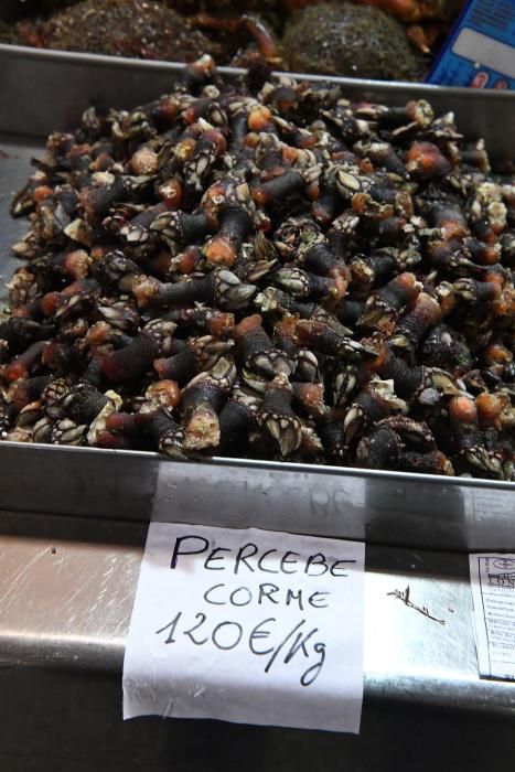 Percebes que alcanzan los 120 euros el kilo, cigalas, centollas, lubrigantes...