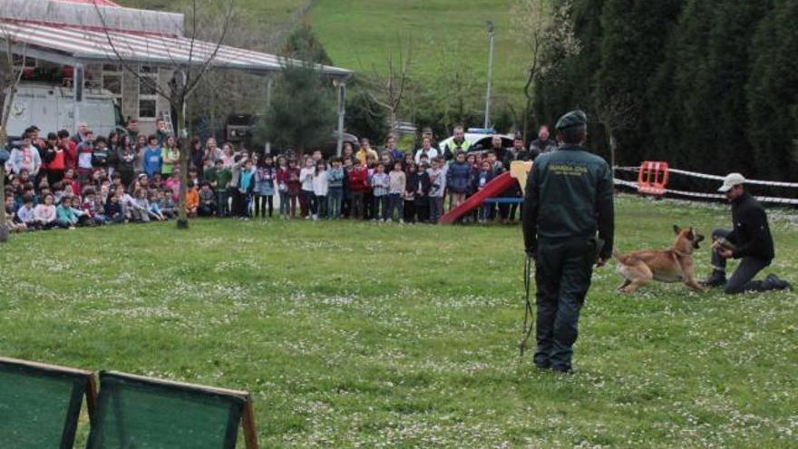 Demostración canina, ayer, en el colegio San Félix de Candás.