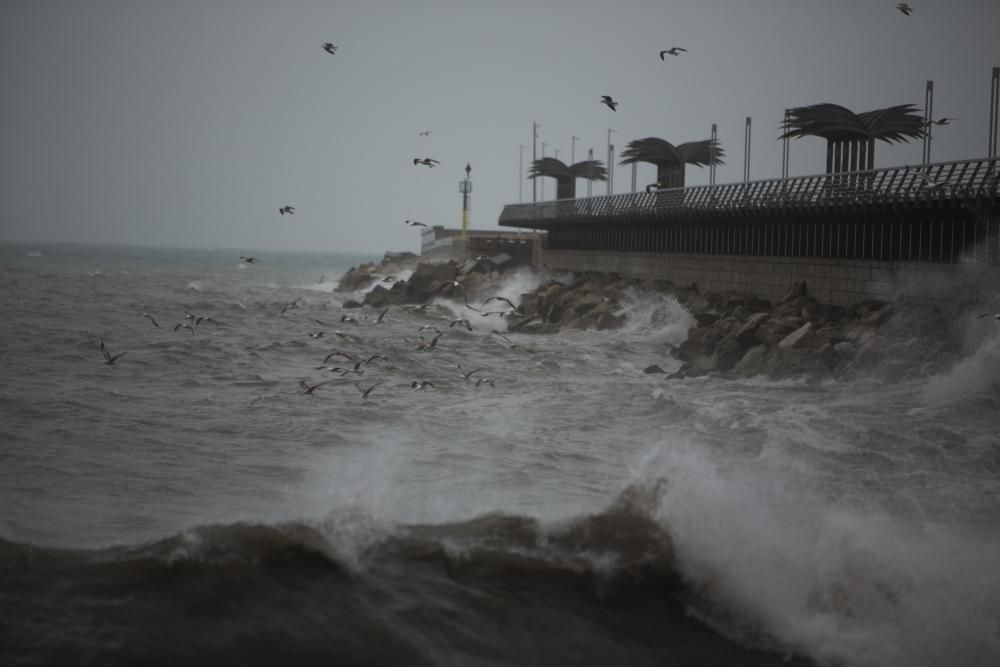 Imágenes del temporal de lluvia y viento en la playa del Postiguet en Alicante.