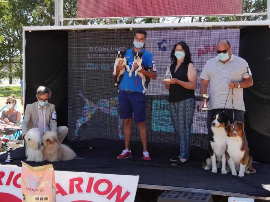 Campeonatos caninos en A Toxa.