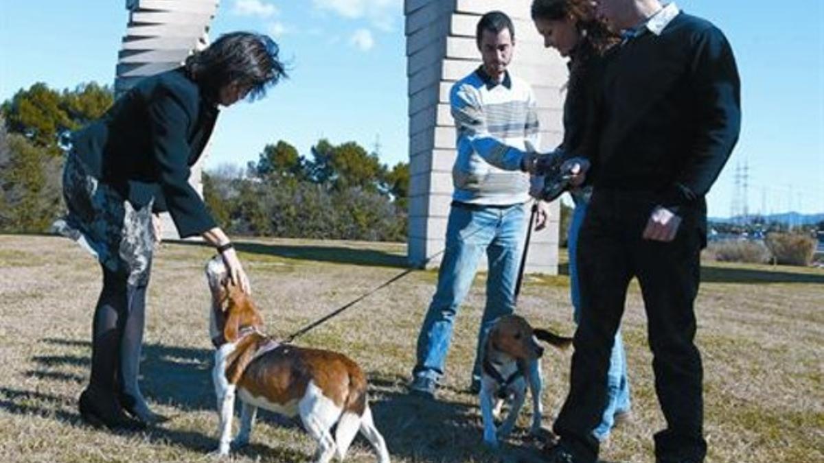 Dos de los perros del experimento, con Fàtima Bosch (izquierda) y otros investigadores de la UAB, ayer