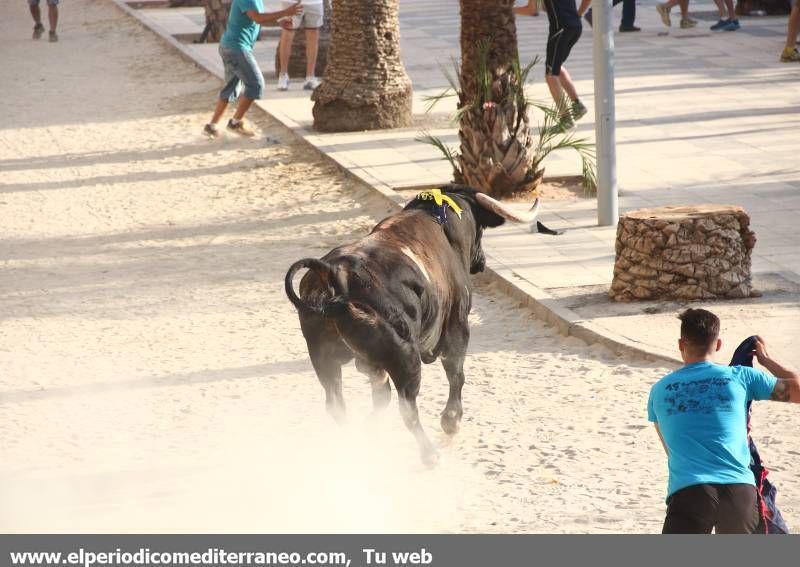 Desfile de peñas y toro