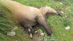 barcelona/WhatsApp Image 2021-09-06 at 10.38.11.jpg