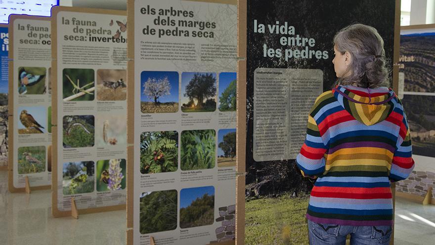 Una exposició a Manresa mostra l&#039;impacte de la pedra seca en la biodiversitat natural