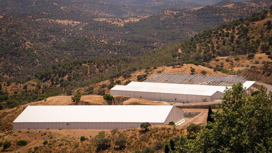 El Cabril, centre d’emmagatzematge per a residus radioactius de mitjana, baixa i molt baixa activitat, a Hornachuelos, Còrdova.