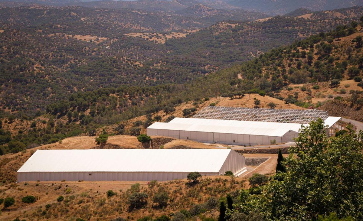 El Govern prepara una llei per situar el cementiri nuclear permanent