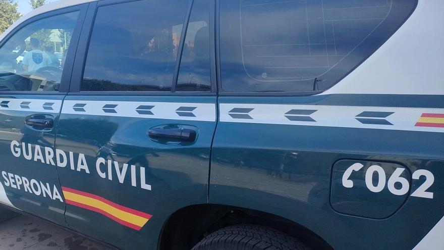Rescatan a un perro atrapado en el cauce de un arroyo en Antequera