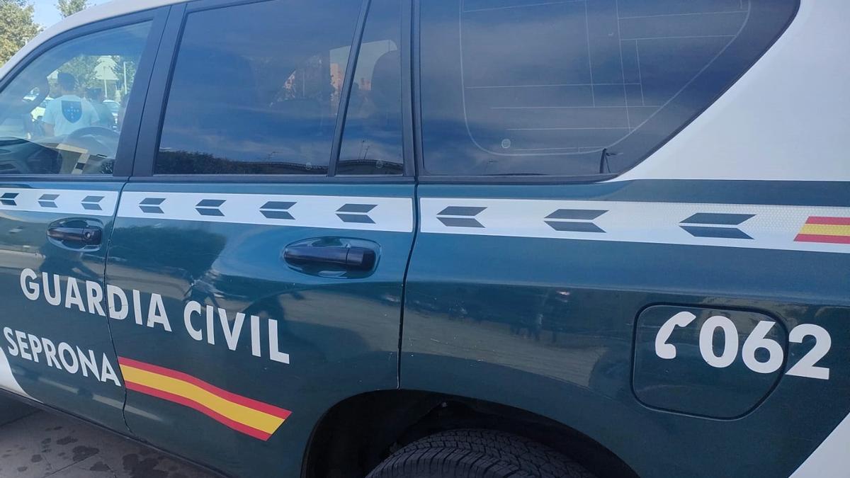 Imagen de recurso de un vehículo del Seprona de la Guardia Civil.