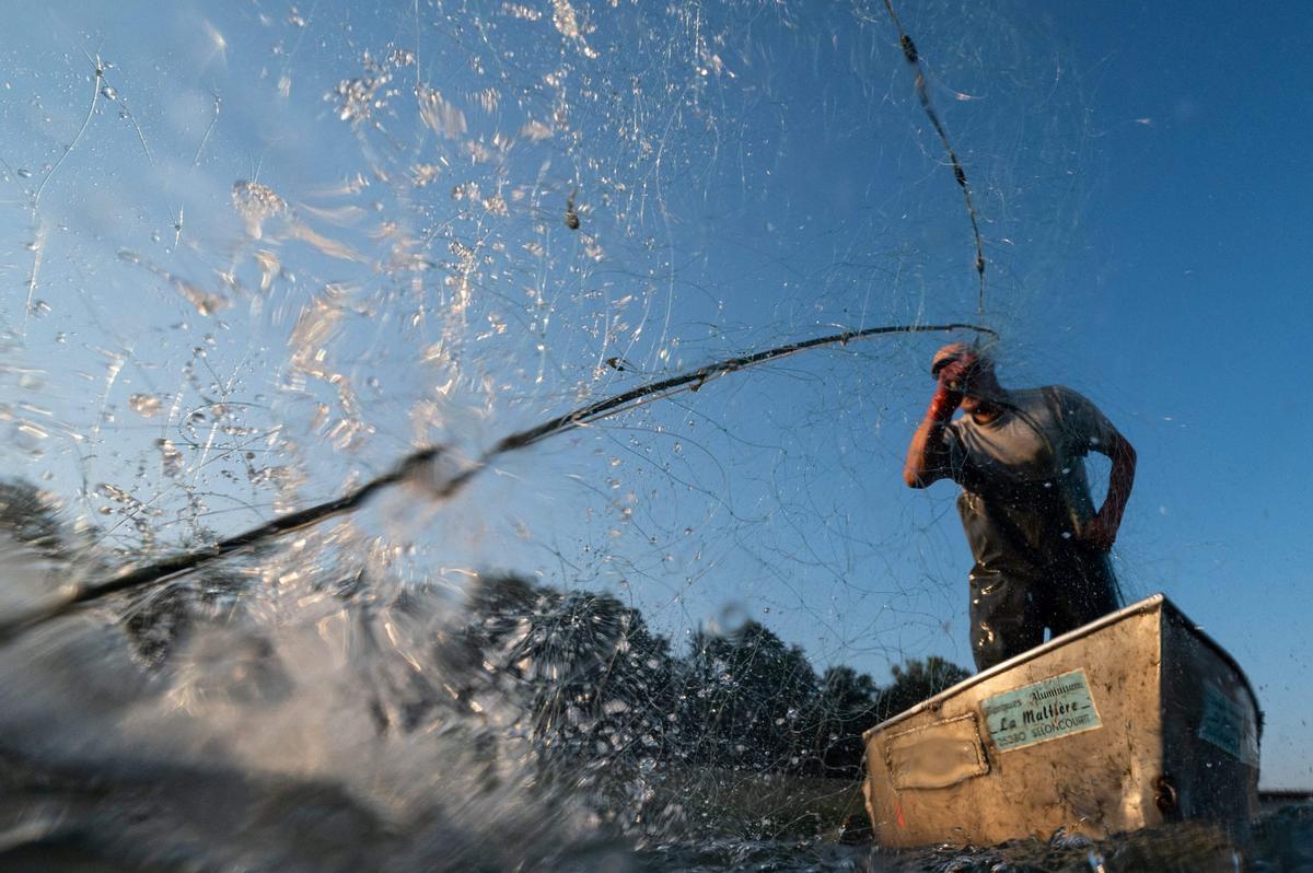 Jeremy Fuchs, el único pescador profesional del río Rin