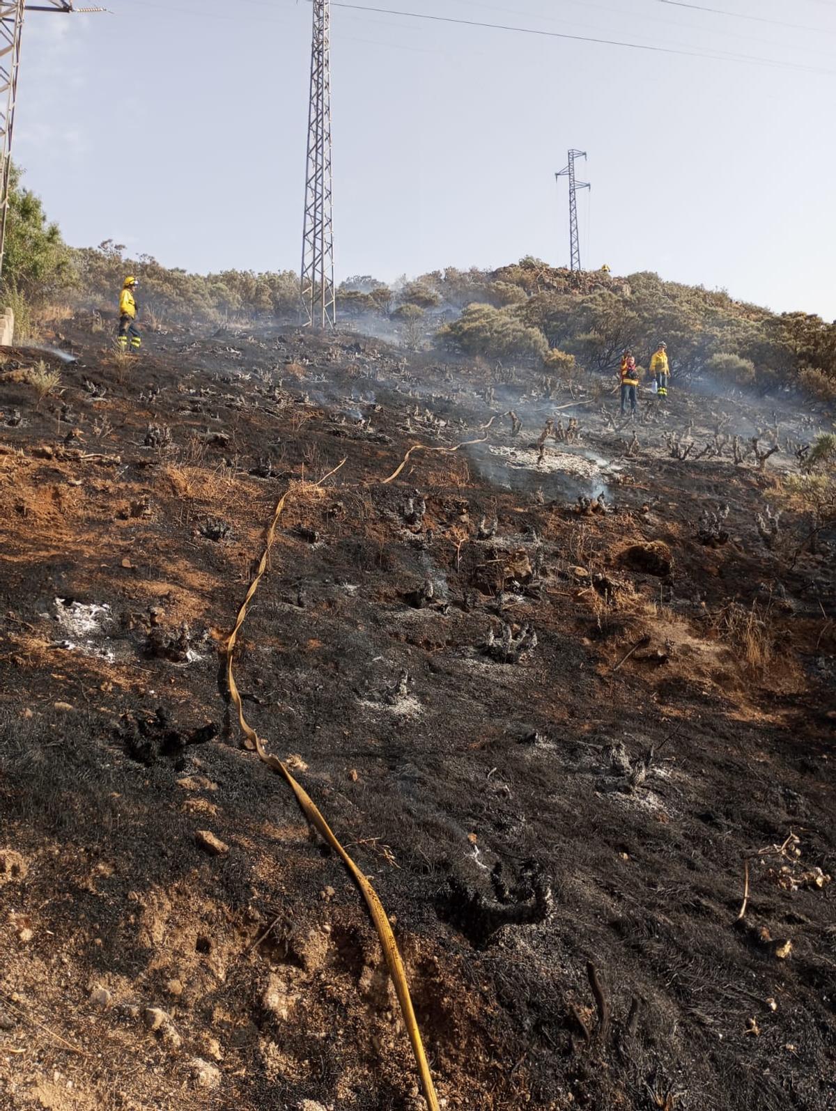 Conato de incendio de Telde, en imágenes