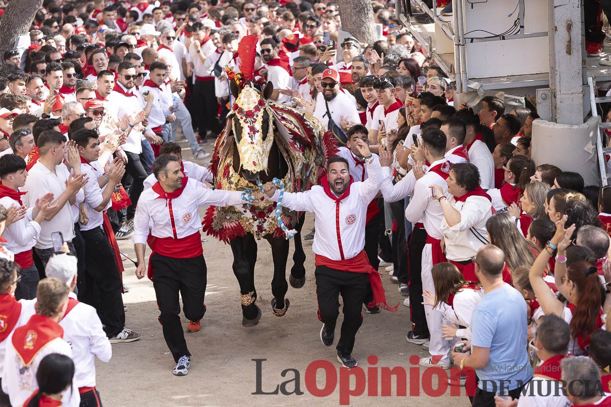 Así se ha vivido la carrera de Los Caballos del Vino en Caravaca