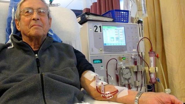 Día Mundial del Riñón: qué síntomas tiene y como prevenir una enfermedad al alza