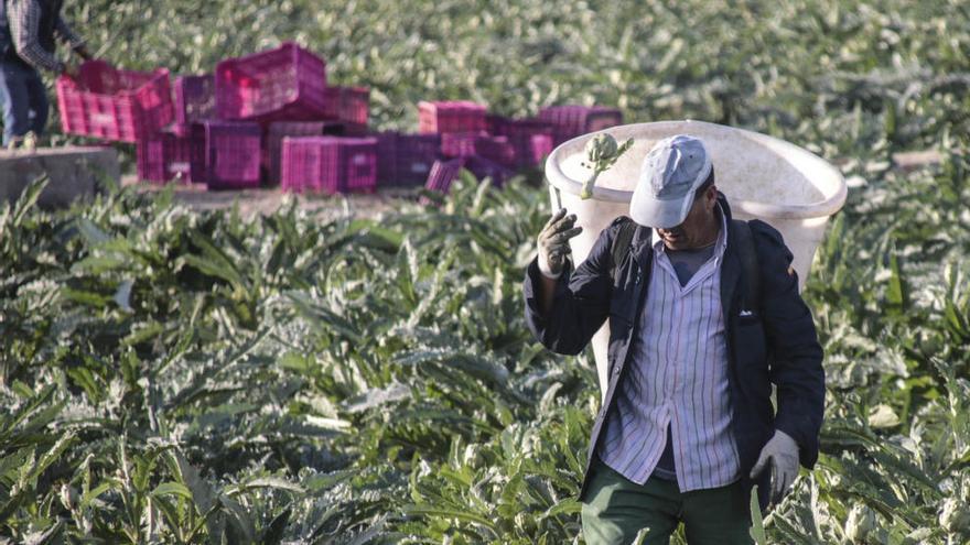 Detectan errores en el valor catastral de bienes agrícolas