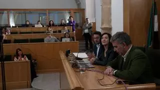 El aceite y el olivar reúnen en Cáceres a las diputaciones que trabajan en la red 'Oleoturismo en España'